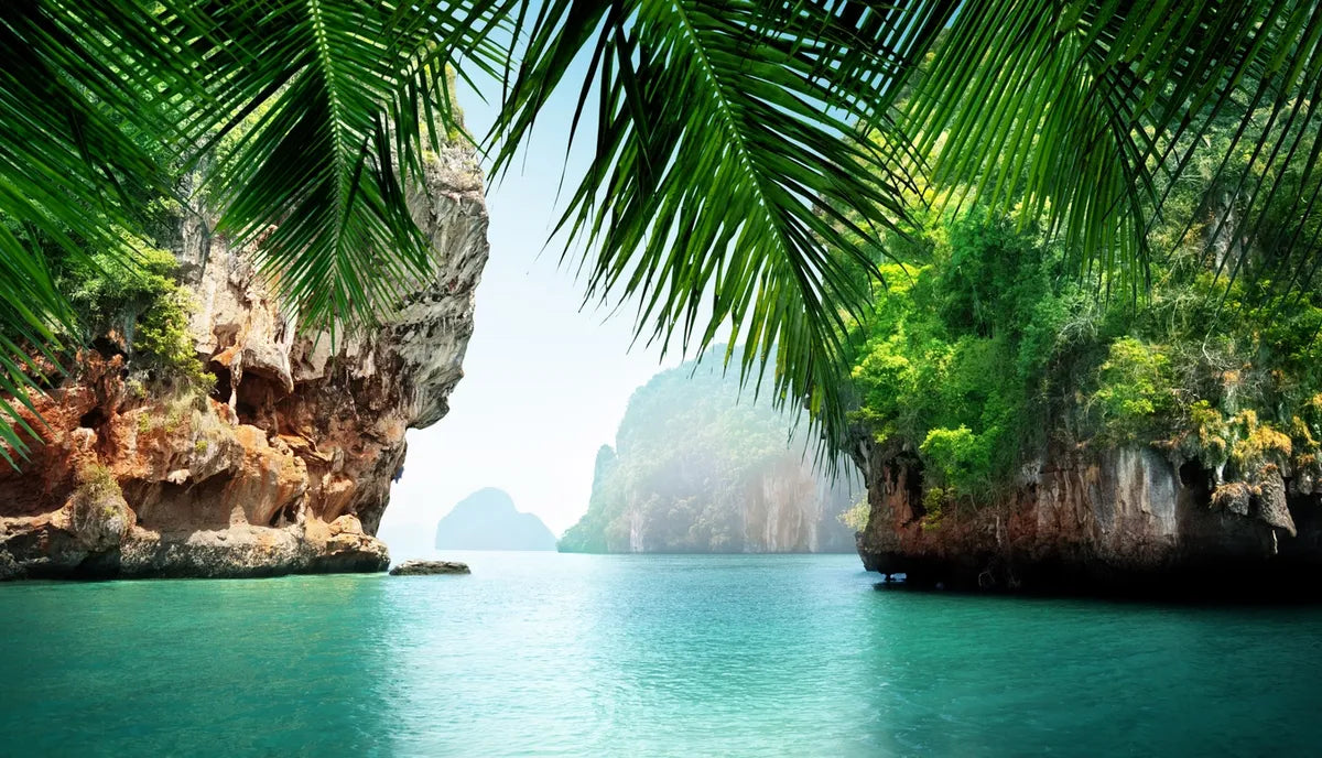 Coastal Oasis