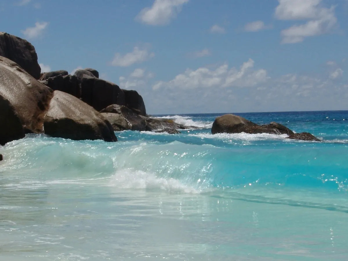 Coastal Cove
