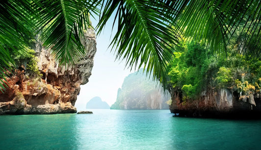 Coastal Oasis